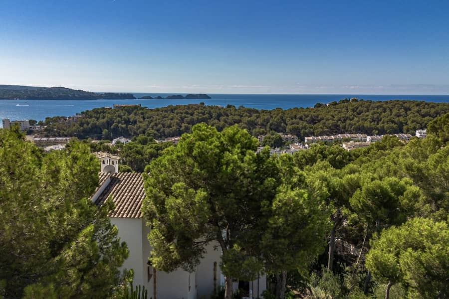 Mediterrane Küstenvilla im Pinienwald mit Meerblick - Paguera: Villa in ruhiger Lage mit schönem Meerblick und großem Grundstück zu verkaufen