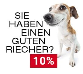 Рекламный баннер с внимательной собакой рядом с надписью У тебя хороший нос и поразительный красный 10 процентов уведомления