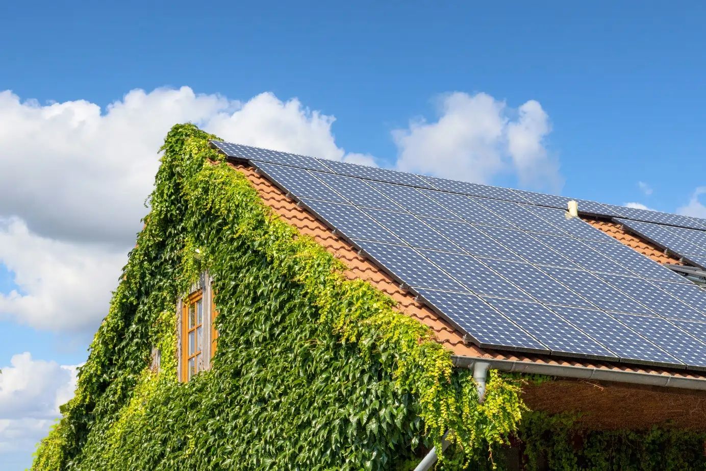 The roof of an ivy-covered house covered with solar cells under a blue sky, sustainable energy generation.