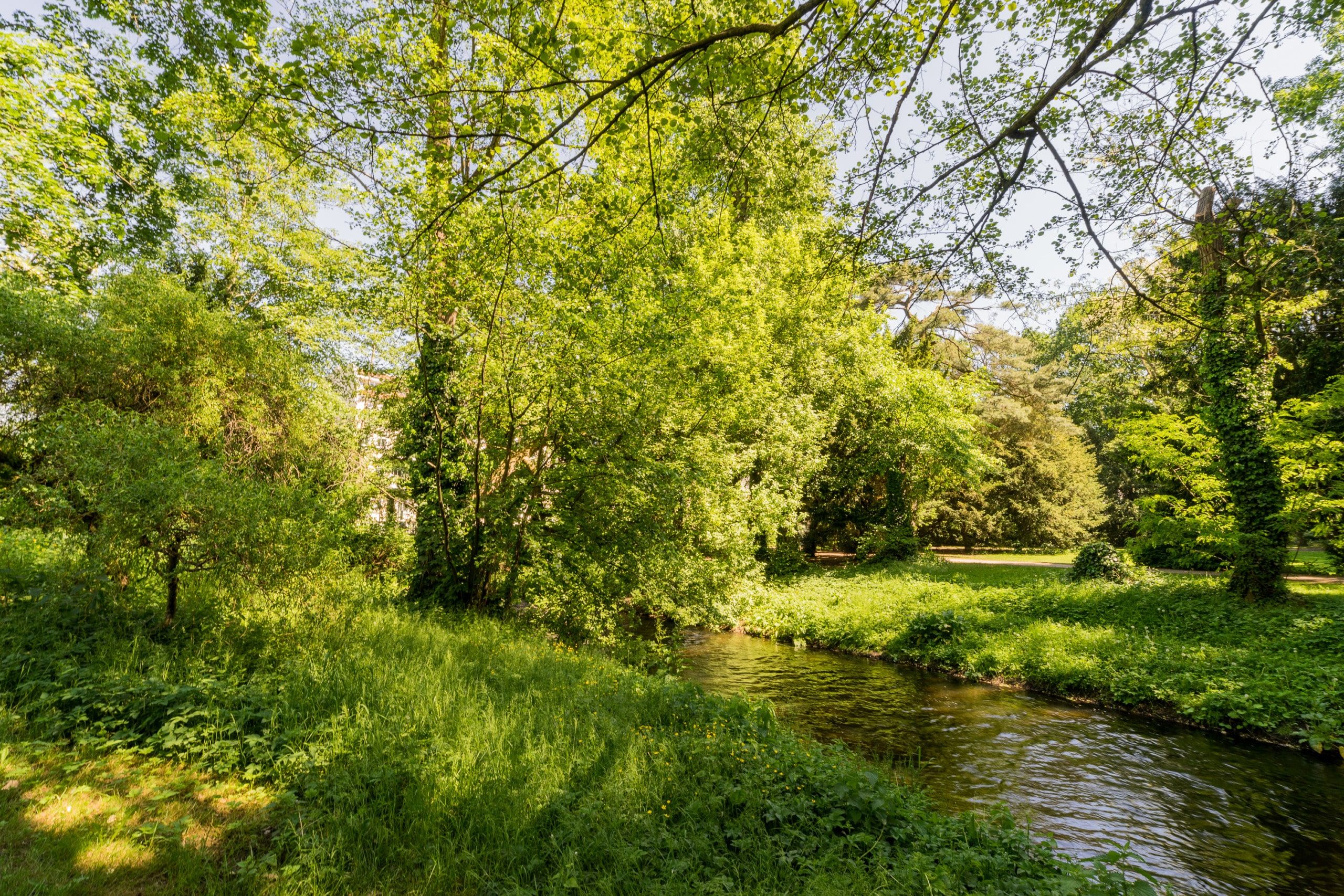 Landschaftsaufnahme eines heimeligen Waldparks mit grünem Bachlauf und dichtem Laubdach