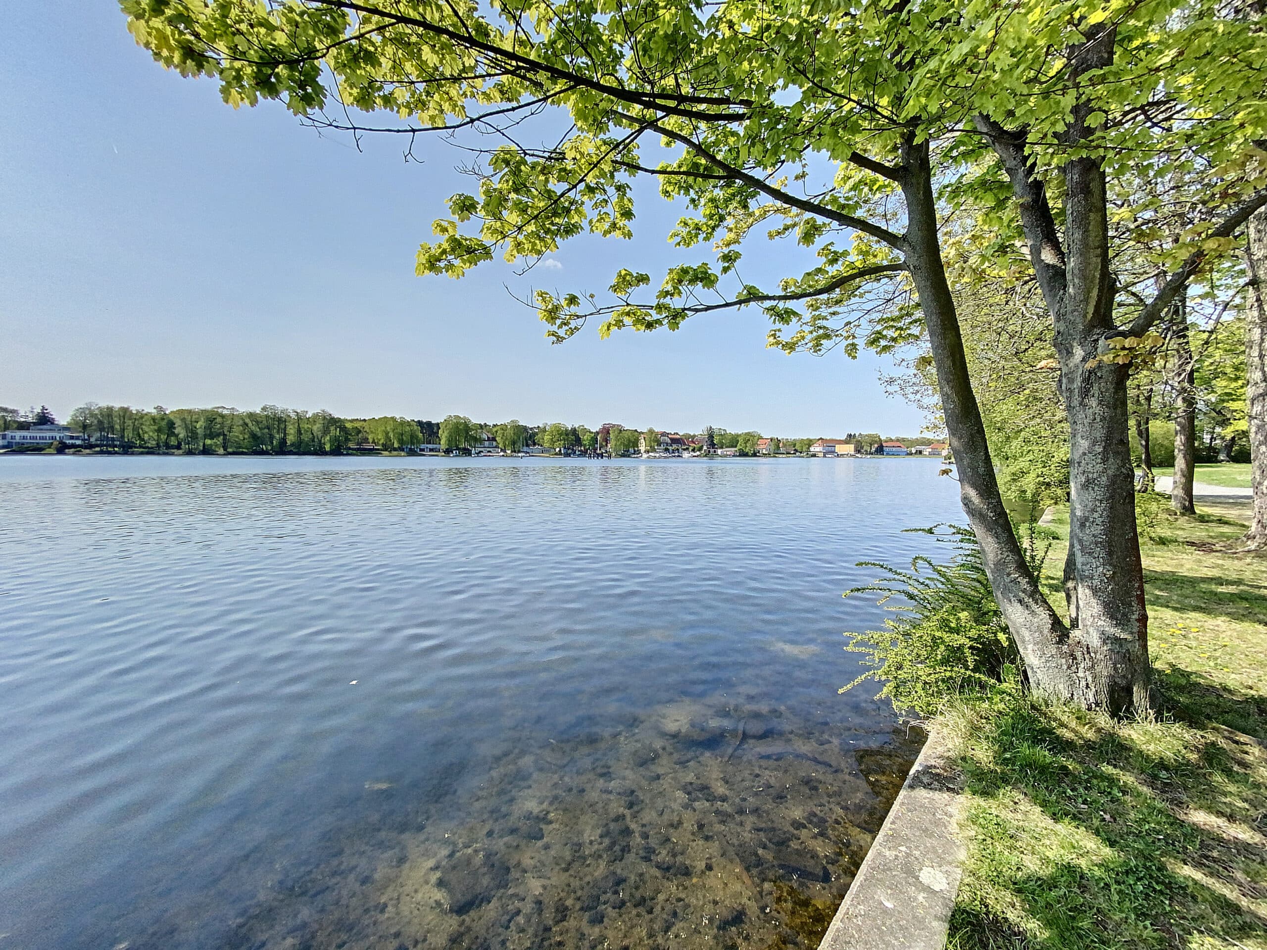 Uitzicht op het rustige meer met groen gebladerte op de voorgrond en een rij huizen aan de overkant.