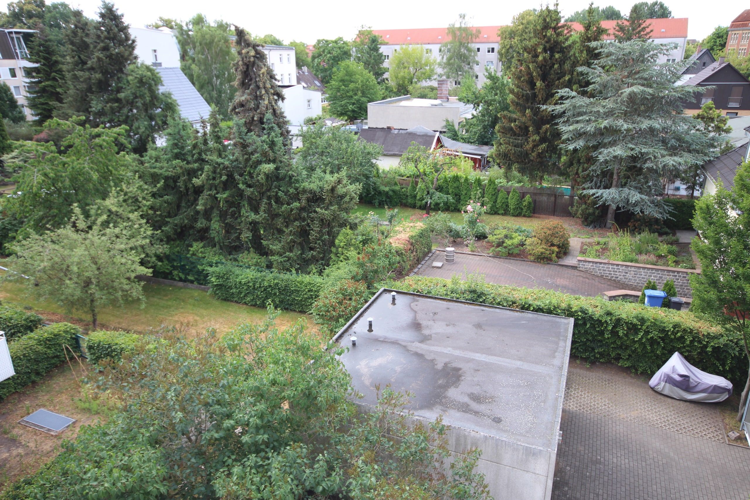 Blick aus Wohnung auf Garten mit Flachdachgarage, gepflasterte Einfahrt umgeben von Hecken und großen Bäumen