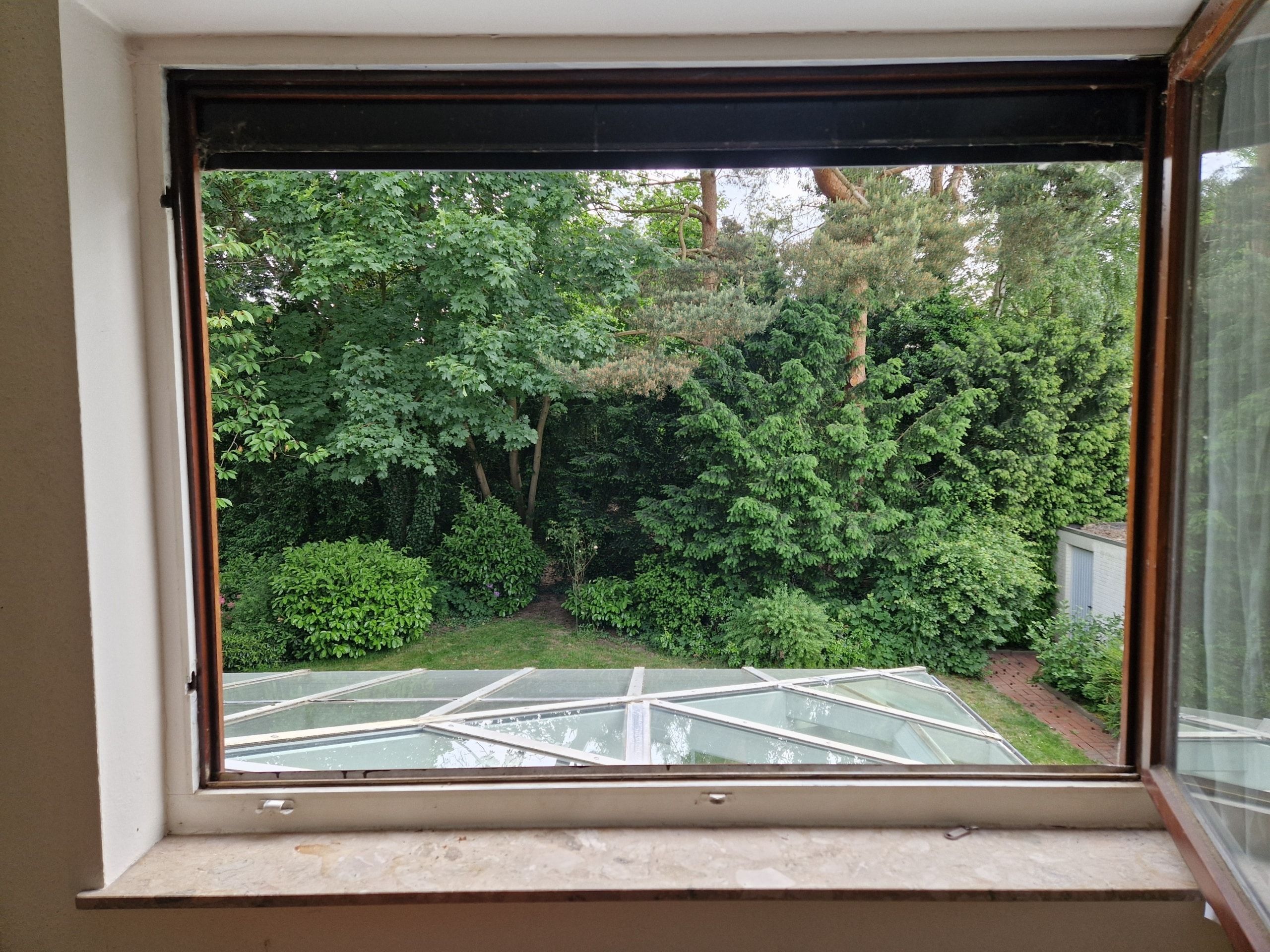 Blick aus geöffnetem Fenster auf üppigen Garten mit Gewächshausdach und dichter Baumbepflanzung