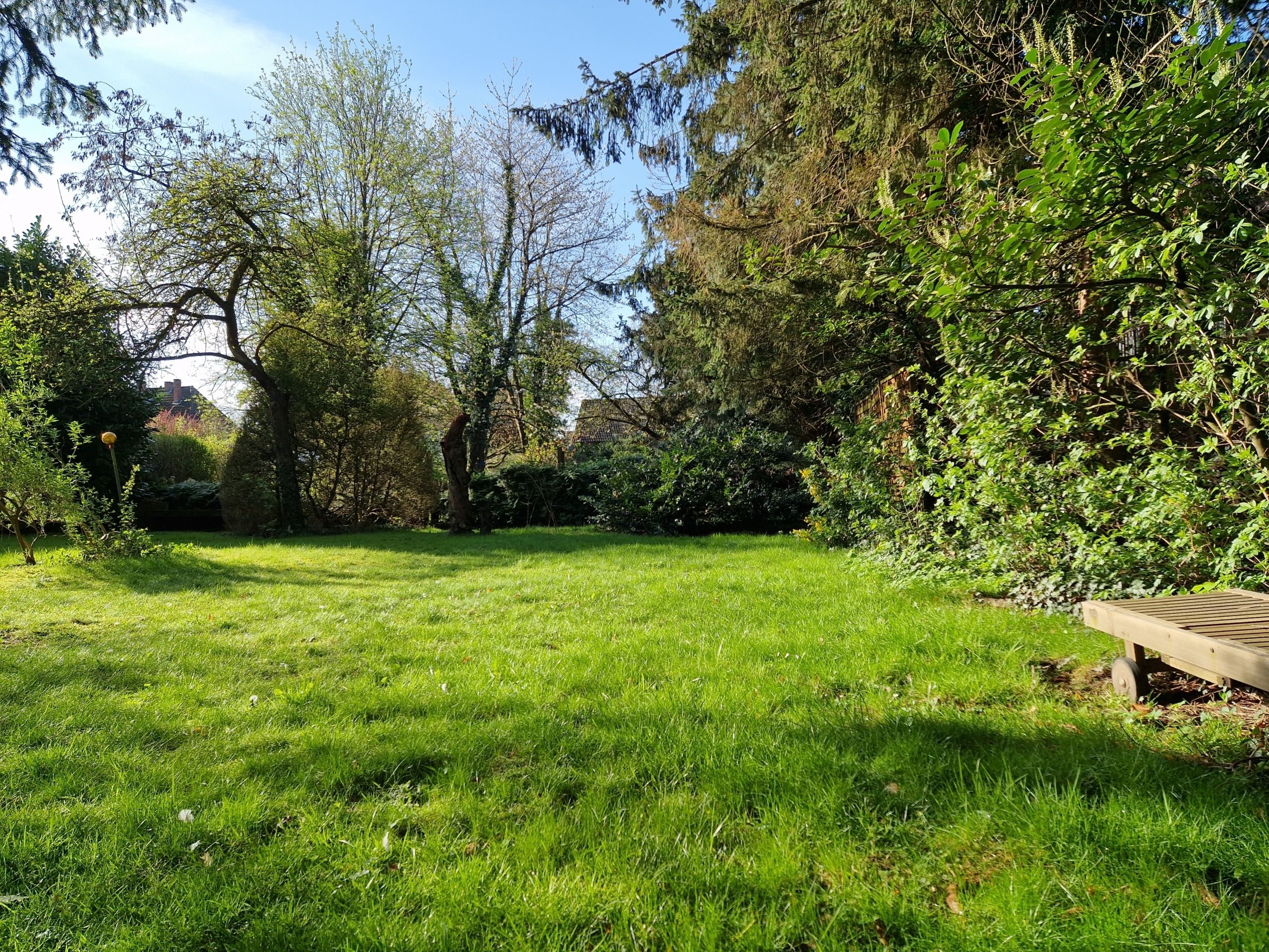 Blick über Rasenfläche in privaten Garten umgeben von Bäumen und Sträuchern bei Sonnenschein