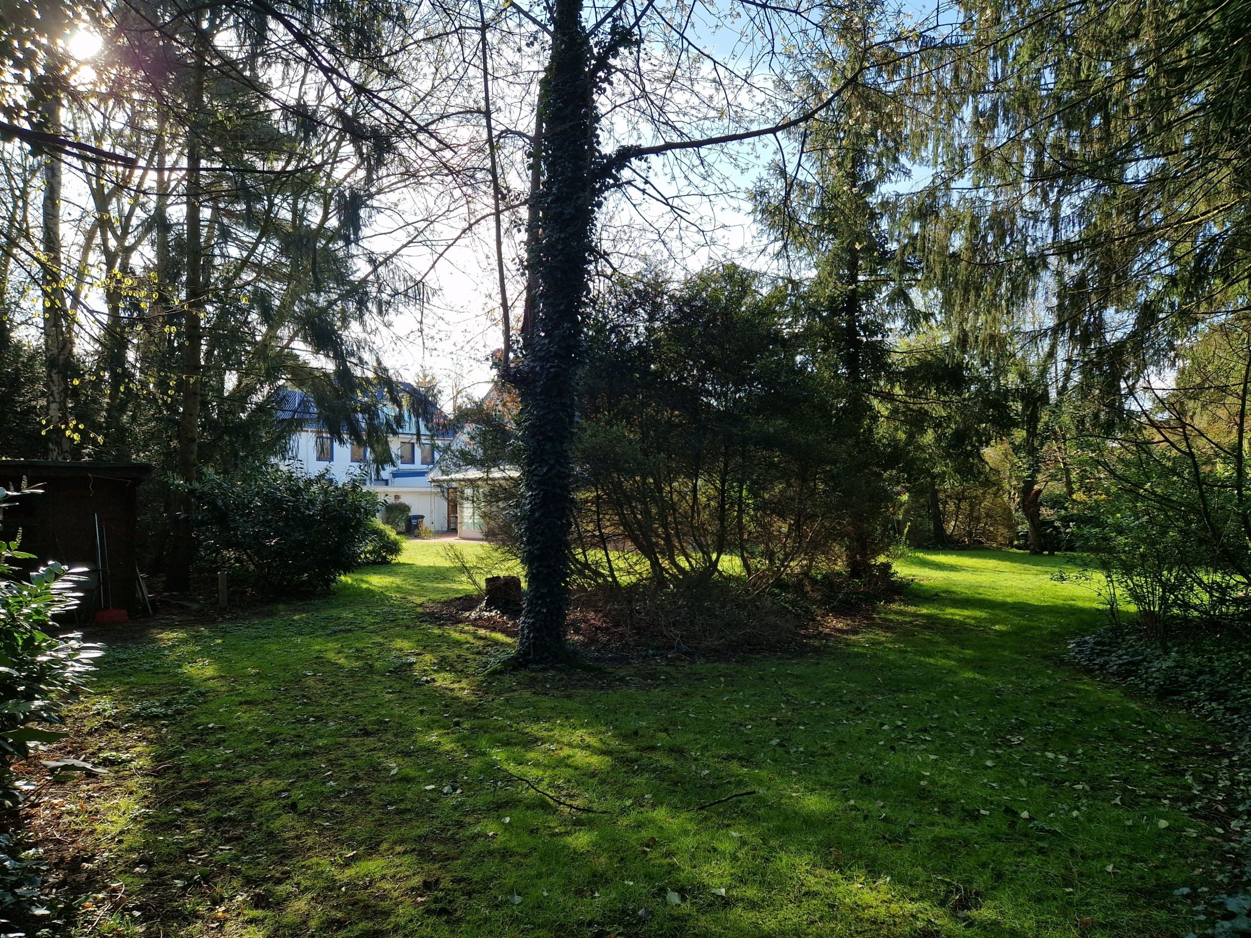 Blick aus dem Garten mit Rasen und Bäumen auf teilweises weißes Einfamilienhaus im Sonnenlicht