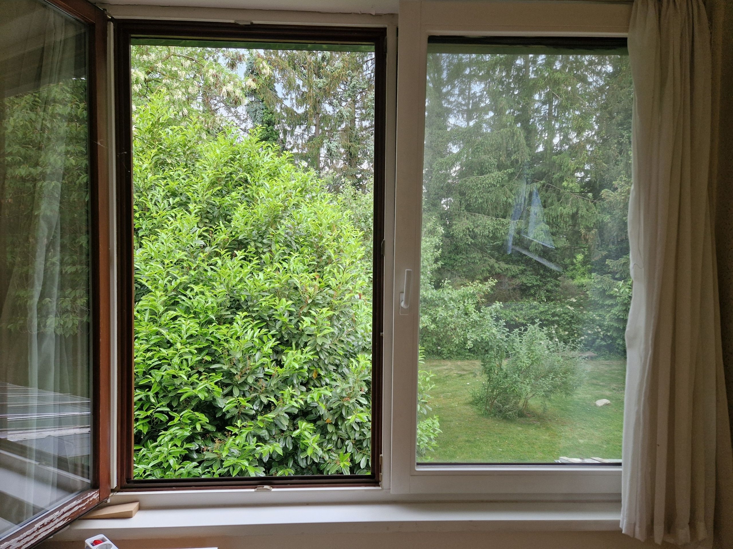 Ausblick aus offenem Fenster auf grünen Garten mit dichten Büschen und Rasen