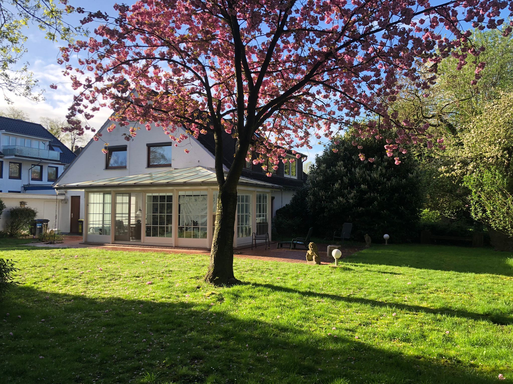 Blick auf weiße Rückansicht eines Einfamilienhauses mit verglastem Wintergarten im Garten unter blühendem Kirschbaum
