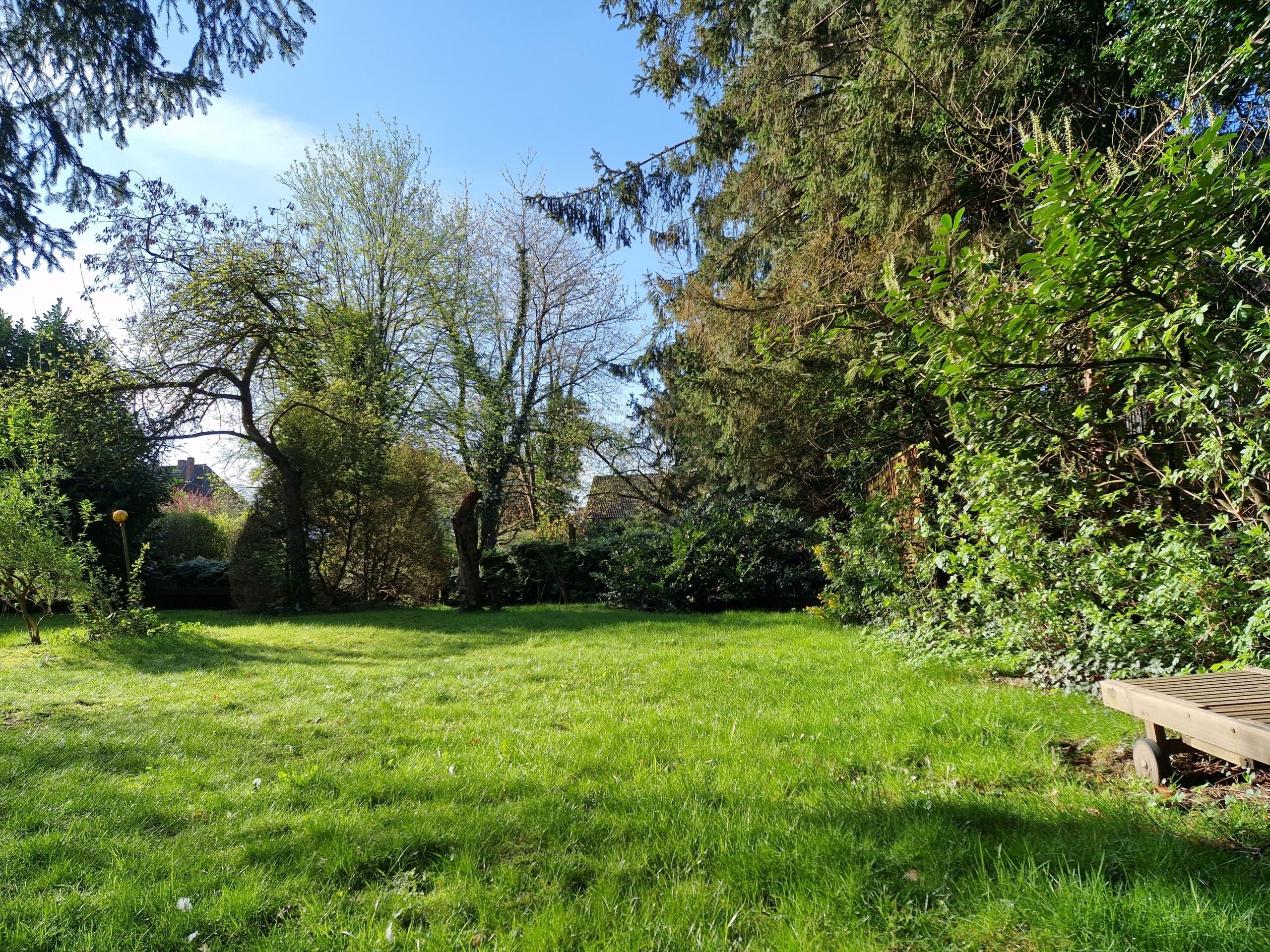 Blick über grünen Rasen im Garten mit hohen Bäumen, dichten Sträuchern und hölzerner Liege