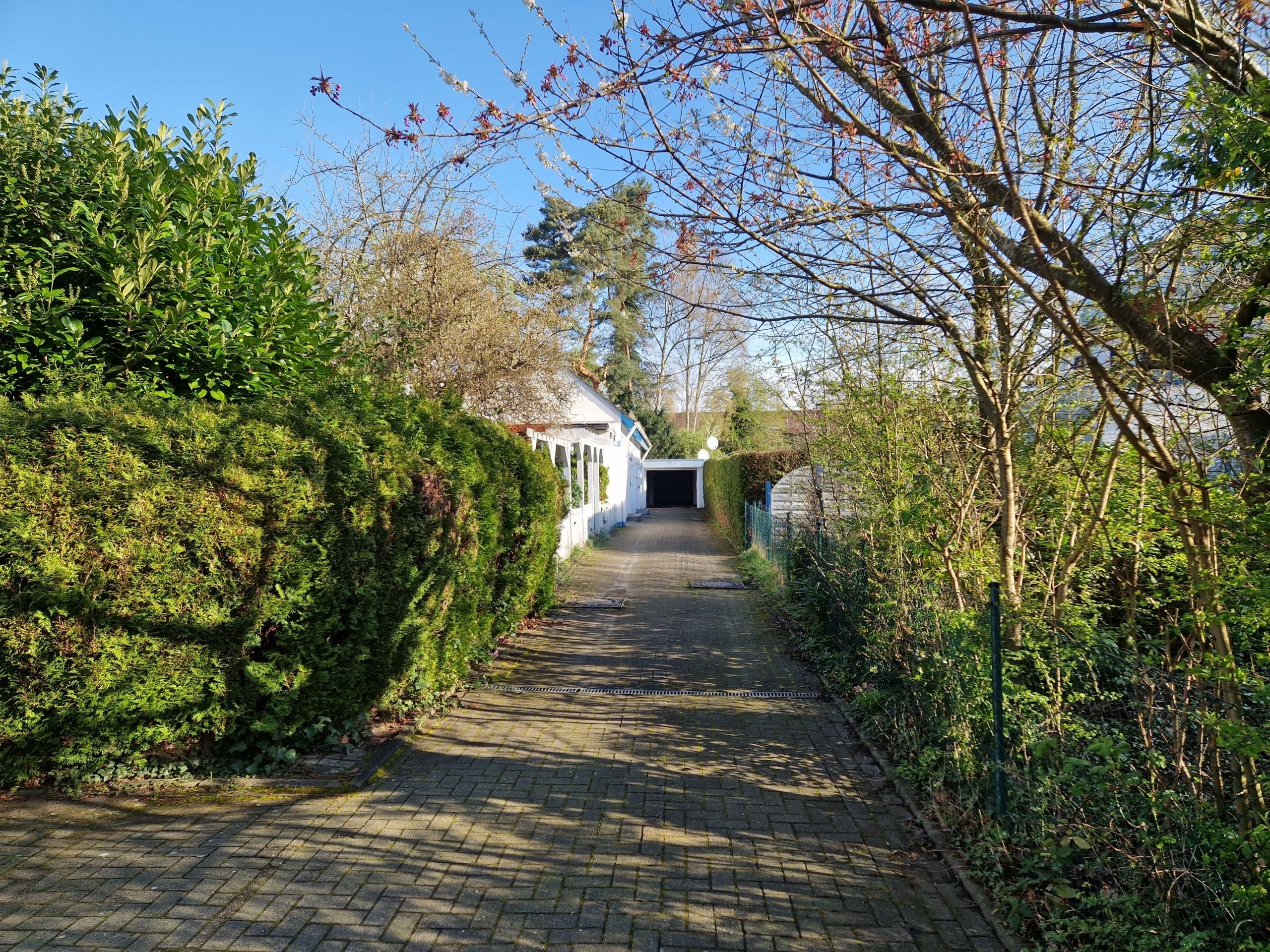 Blick entlang gepflasterter Einfahrt zu weißem Bungalow mit Garage gesäumt von dichten Heckeneinfassungen