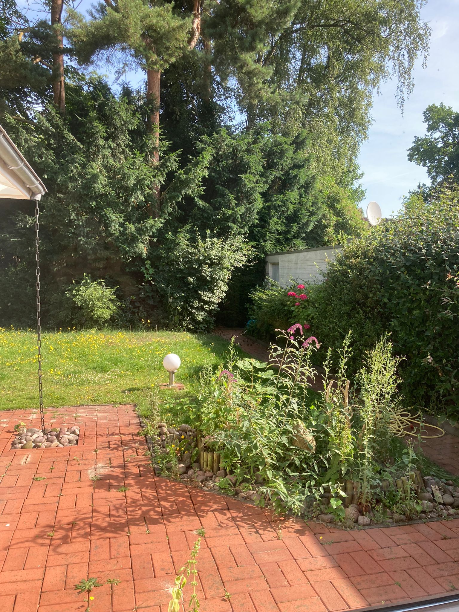 Blick von Terrassentür eines Einfamilienhauses auf rote Pflastersteine und Garten mit Rasen Blumenbeet und Baumhecke