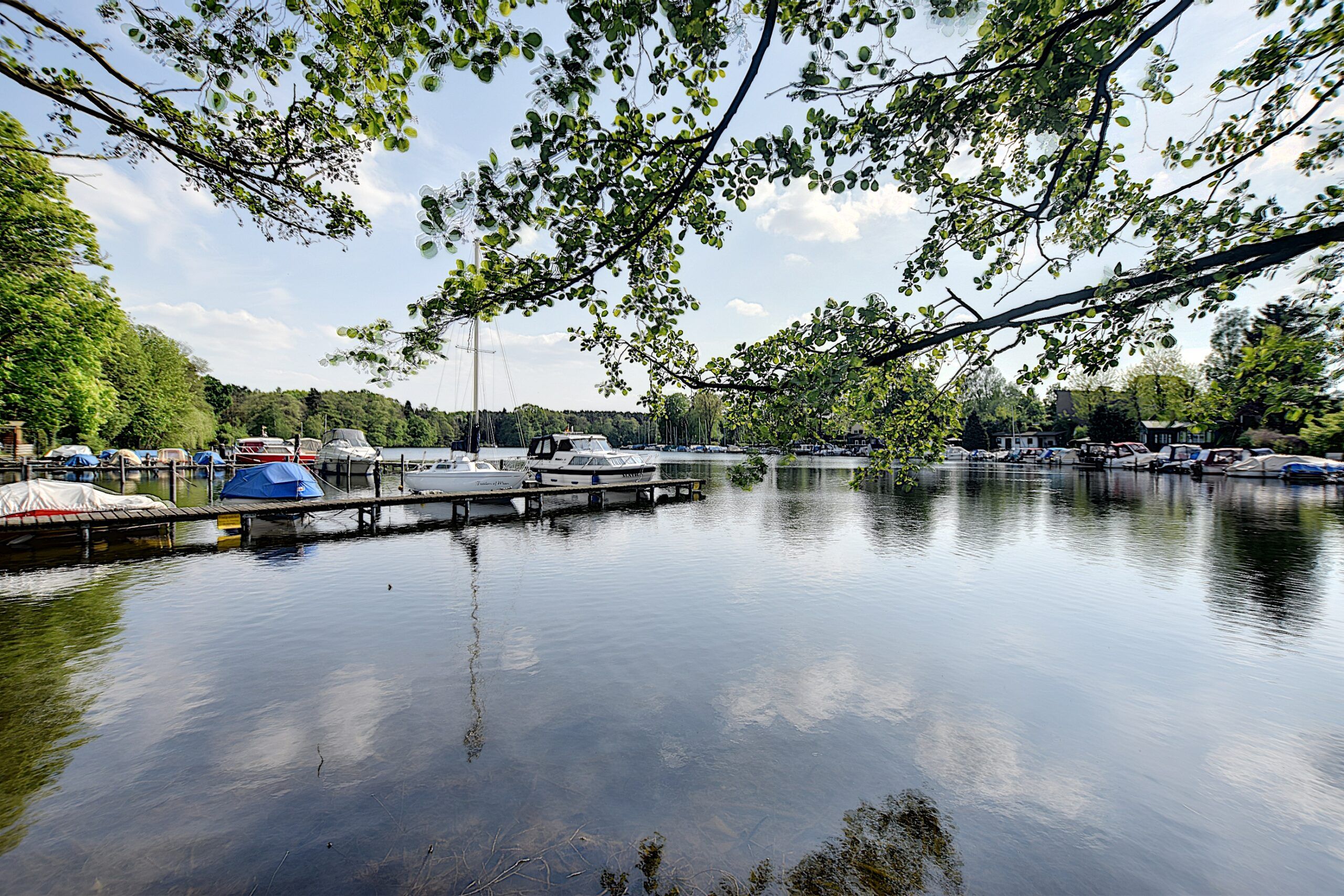 Bootssteg am ruhigen Waldsee mit Yachten und dichtem Uferwald im Panorama