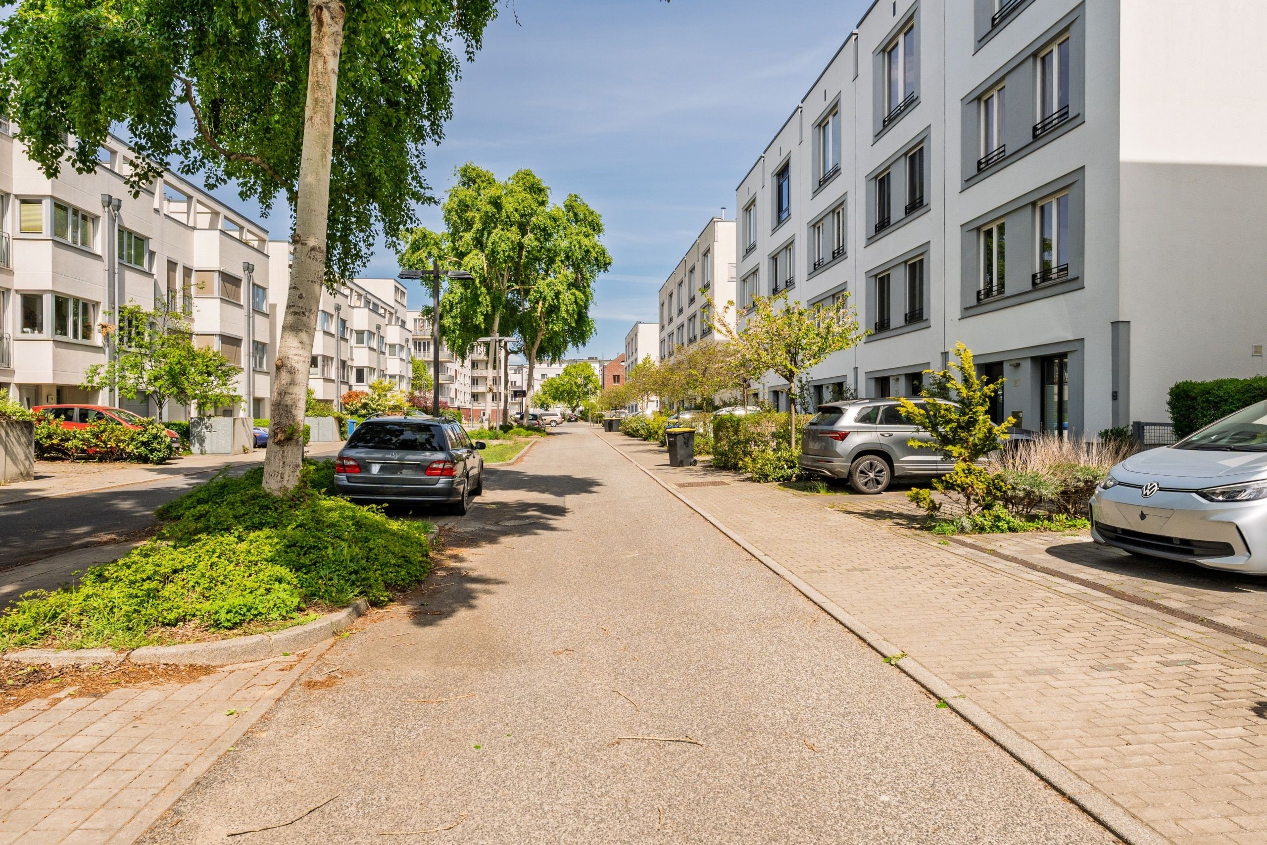 Ruhige Anwohnerstraße mit gepflegter Bebauung und viel Grün