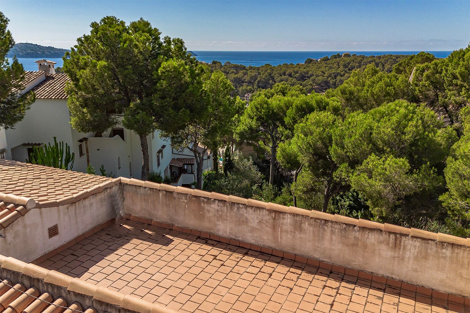 Uitzicht vanaf het dakterras van een mediterraan huis met terracottavloer, omringd door pijnbomen en met uitzicht op zee