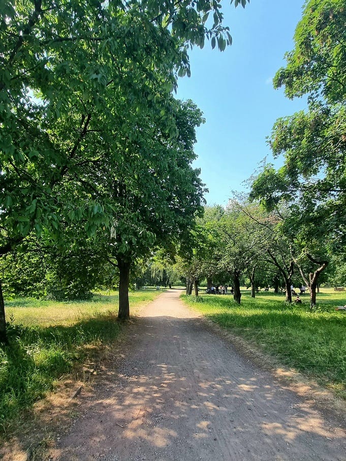 Park Falkplatz