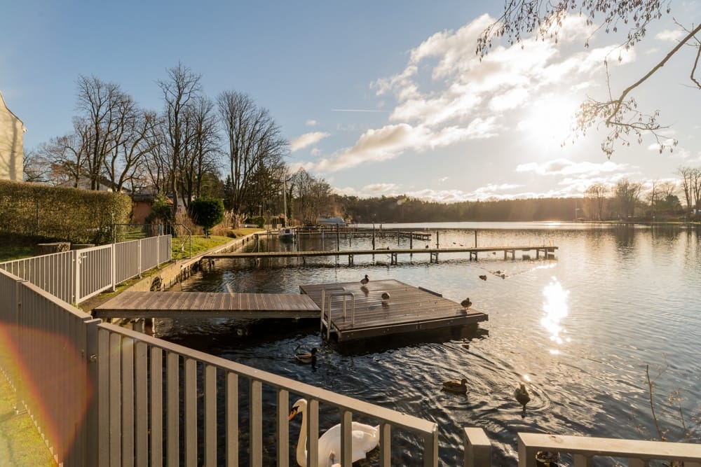 Ufer mit hölzernem Steg und Bootsponton am See aus Blick eines umzäunten Gartens mit Schwänen
