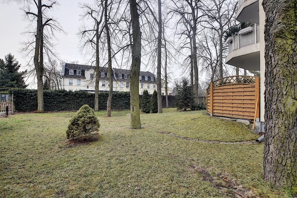 Vue depuis une cour intérieure verdoyante, avec pelouse et arbres à feuilles caduques, sur les balcons d'un immeuble d'habitation à plusieurs étages