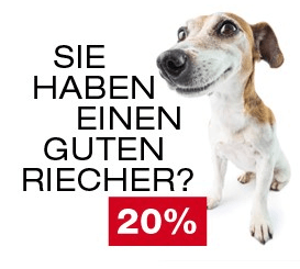 Neugieriger Hund frontal auf weißem Hintergrund mit Werbetext Sie haben einen guten Riecher und rotem 20 Prozent-Hinweis