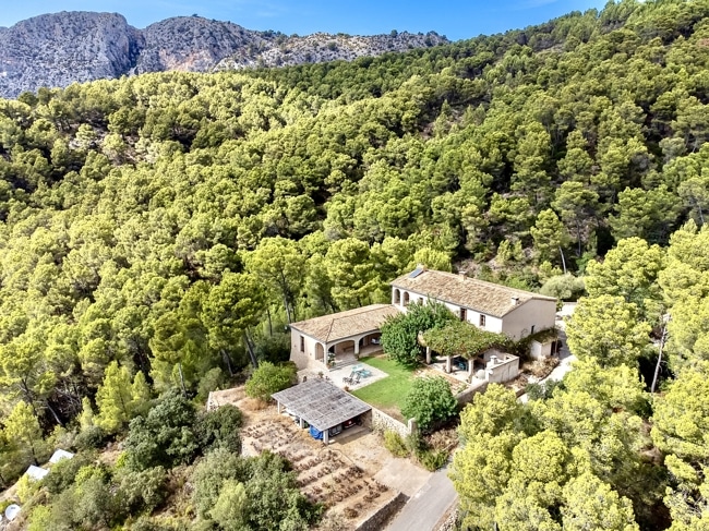 Mediterrane Finca mit Terrasse im Pinienwald - Mallorquinische Finca in einzigartiger Lage mit 5 Schlafzimmern, Gästehaus und Pool zu verkaufen