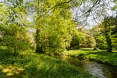 Landschaftsaufnahme eines heimeligen Waldparks mit grünem Bachlauf und dichtem Laubdach