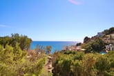 Meerblick auf mediterrane Hangvillen mit Terrakotta-Dächern und Pinien im Vordergrund