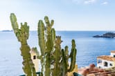 Kaktus auf mediterraner Dachterrasse mit weitem Meerblick im Hintergrund