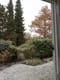 Winterlicher Garten mit verschneitem Rasen umgeben von Hecke und Nadelbäumen aus Haustürperspektive