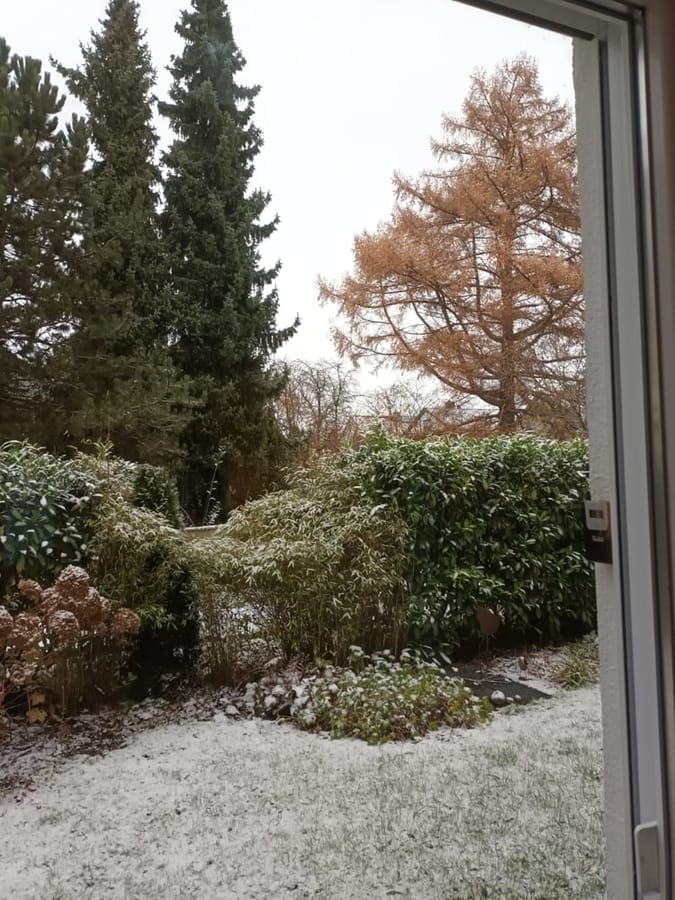 बर्फ से ढका हुआ शंकुधारी वृक्षों वाला बगीचा - म्यूनिख / म्यूनिख-ग्रोशहाडर्न में ग्राउंड फ्लोर अपार्टमेंट