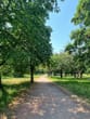 Parque Falkplatz