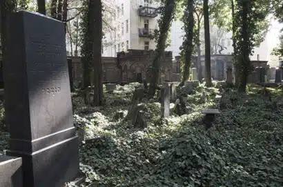 Blick auf einen bewachsenen historischen Friedhof mit schräg stehenden Grabsteinen und umliegenden Wohnhäusern