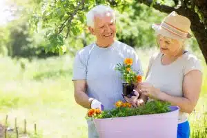 Zwei ältere Menschen pflanzen bunte Blumen in einem erhöhten Pflanzkasten im sonnigen Garten unter einem Baum
